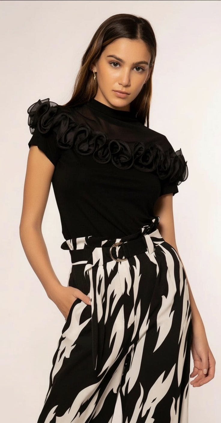 Elegant Black Sheer Ruffle Accent Blouse